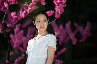 安装步骤示意图